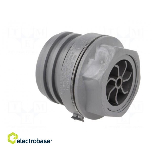 Connector: circular | socket | female | PIN: 7 | EXPlora | nickel plated image 4