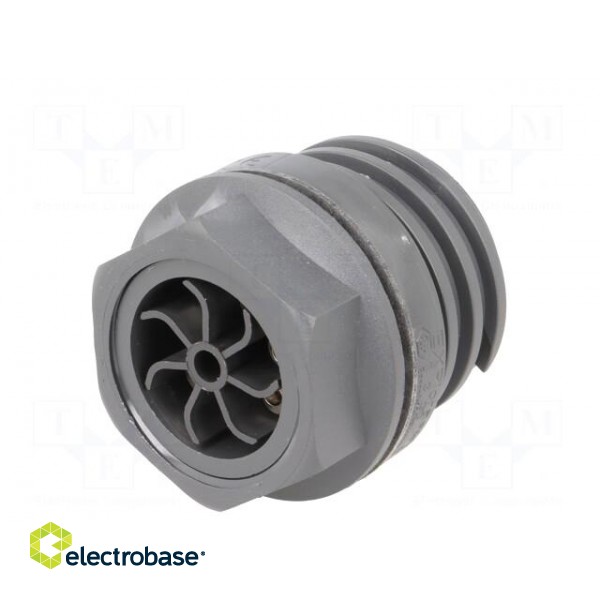 Connector: circular | socket | female | PIN: 7 | EXPlora | nickel plated image 6