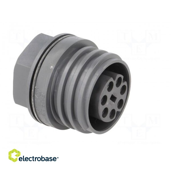 Connector: circular | socket | female | PIN: 7 | EXPlora | nickel plated image 8