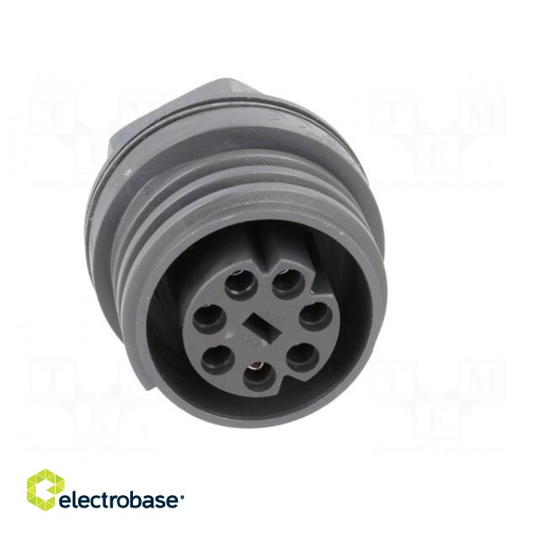 Connector: circular | socket | female | PIN: 7 | EXPlora | nickel plated image 9