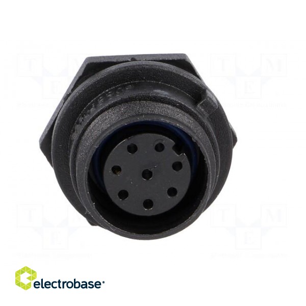 Connector: circular | socket | female | PIN: 8 | w/o contacts | IP68 image 9