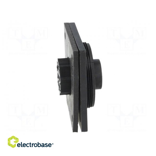 Connector: circular | socket | female | PIN: 9 | Standard Buccaneer® image 7
