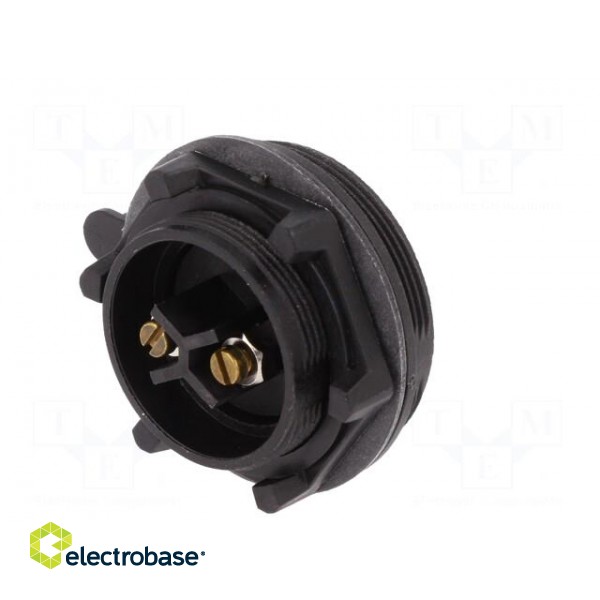 Connector: circular | socket | male | PIN: 2 | Buccaneer Standard | IP68 фото 6