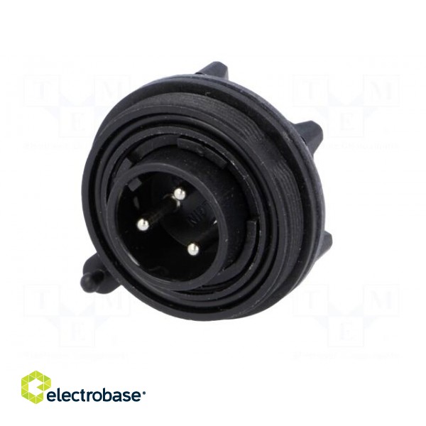 Connector: circular | socket | male | PIN: 3 | Buccaneer Standard | IP68 image 2