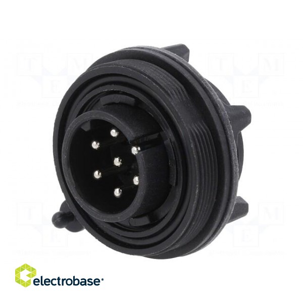Connector: circular | socket | male | PIN: 7 | Standard Buccaneer® image 1