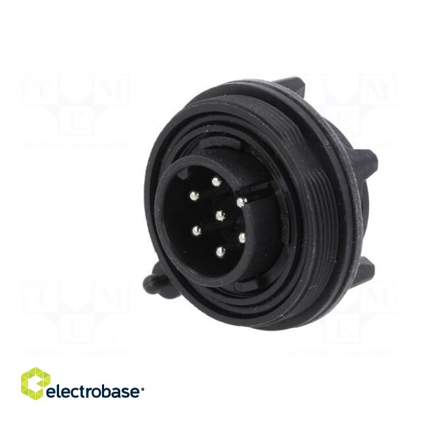 Connector: circular | socket | male | PIN: 7 | Standard Buccaneer® image 2