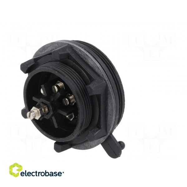 Connector: circular | socket | male | PIN: 7 | Standard Buccaneer® image 6
