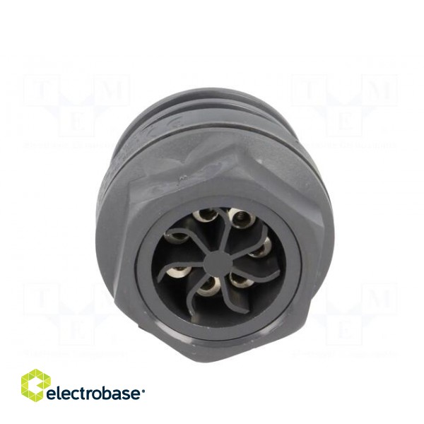 Connector: circular | socket | male | PIN: 7 | EXPlora | Contacts: brass image 5