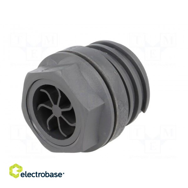 Connector: circular | socket | male | PIN: 7 | EXPlora | Contacts: brass image 6