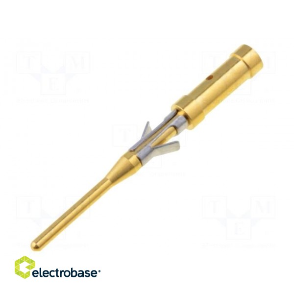 Contact | male | brass | gold-plated | 26AWG÷22AWG | crimped