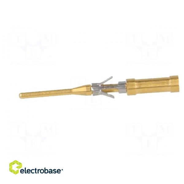 Contact | male | brass | gold-plated | 26AWG÷22AWG | soldering image 3