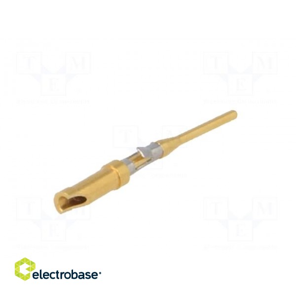 Contact | male | brass | gold-plated | 26AWG÷22AWG | soldering image 6