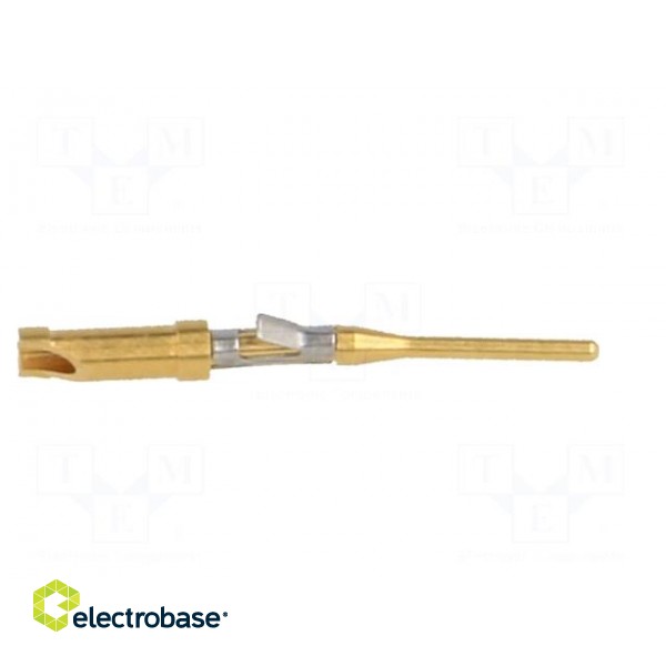 Contact | male | brass | gold-plated | 26AWG÷22AWG | soldering image 7