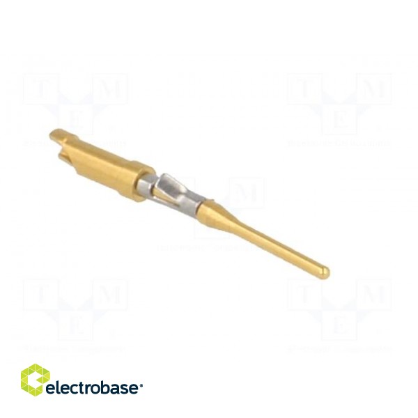 Contact | male | brass | gold-plated | 26AWG÷22AWG | soldering image 8
