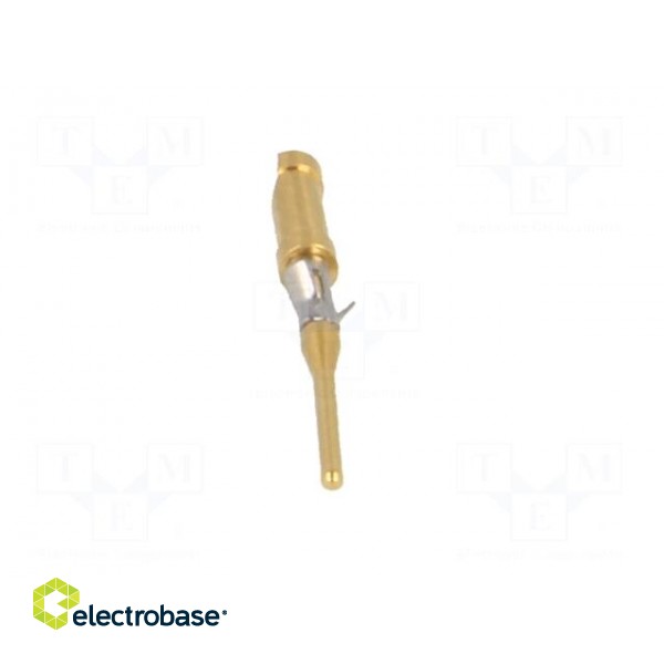Contact | male | brass | gold-plated | 26AWG÷22AWG | soldering image 9