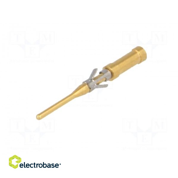 Contact | male | brass | gold-plated | 26AWG÷22AWG | soldering image 2