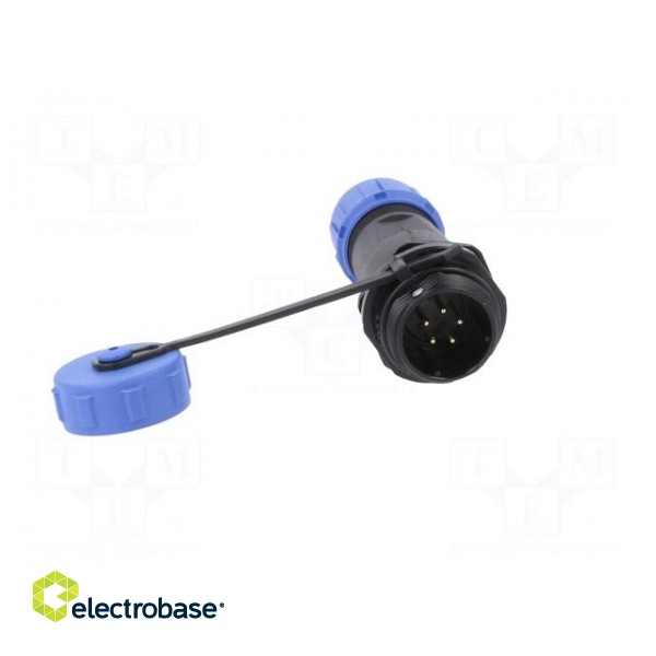 Plug | SP13 | male | PIN: 5 | with protective cap | IP68 | 4÷6.5mm | 5A image 9