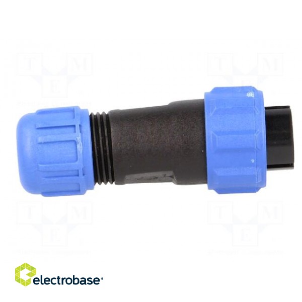 SP13 | plug | male | PIN: 6 | IP68 | 4÷6.5mm | 5A | soldering | for cable image 7