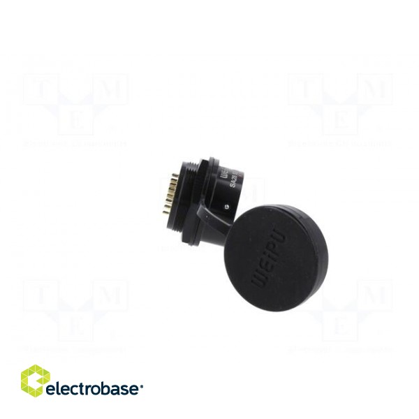 Socket | SA28 | female | PIN: 16 | IP67 | 10A | soldering | 500V | 2mm2 image 7