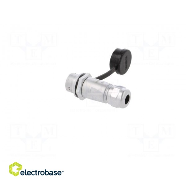 Plug | SF12 | female | PIN: 5 | IP67 | 4÷6.5mm | 5A | soldering | for cable paveikslėlis 4