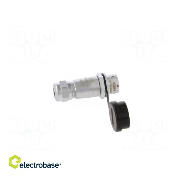 Plug | SF12 | female | PIN: 5 | IP67 | 4÷6.5mm | 5A | soldering | for cable paveikslėlis 7