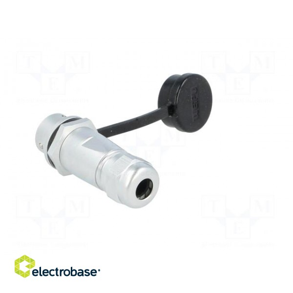 SF12 | plug | male | PIN: 7 | IP67 | 4÷6.5mm | 5A | soldering | for cable image 4