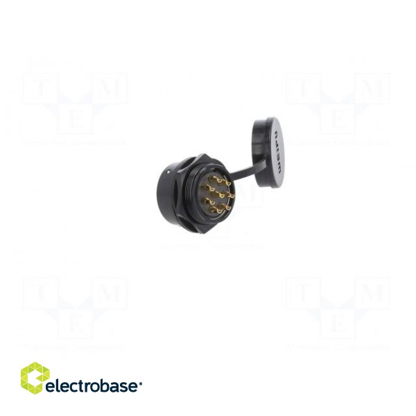 Socket | SA28 | female | PIN: 8 | IP67 | 25A | soldering | 500V | 4mm2 image 4