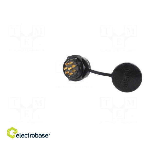 Socket | SA28 | female | PIN: 8 | IP67 | 25A | soldering | 500V | 4mm2 image 6