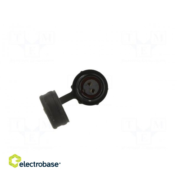 Socket | SA8 | female | PIN: 2 | IP67 | 5A | soldering | 125V | 0.75mm2 image 9