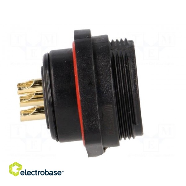SP21 | socket | male | PIN: 3 | IP68 | soldering | 500V | 4mm2 | 30A | -25÷85°C paveikslėlis 7