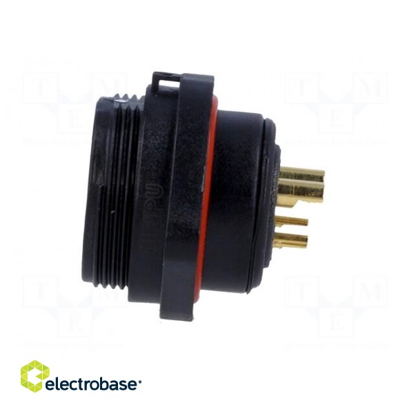 SP21 | socket | male | PIN: 5(2+3) | IP68 | soldering | 500V | Inom 1: 30A image 3