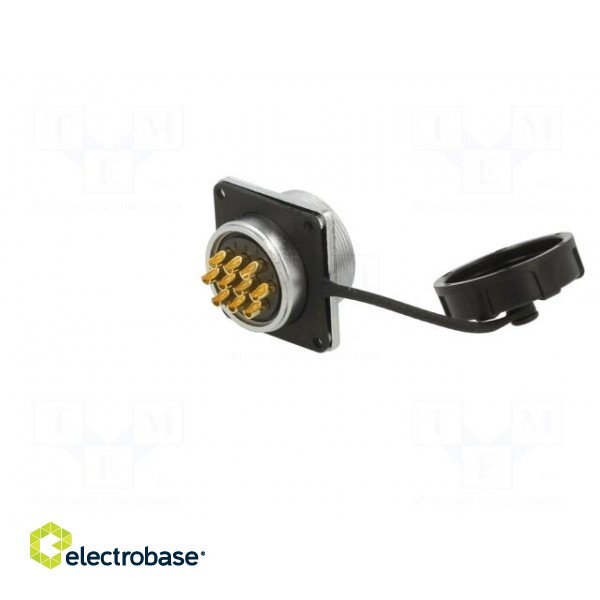 Socket | WF28 | female | PIN: 10 | IP67 | 25A | soldering | 500V | 4mm2 | 11AWG image 6