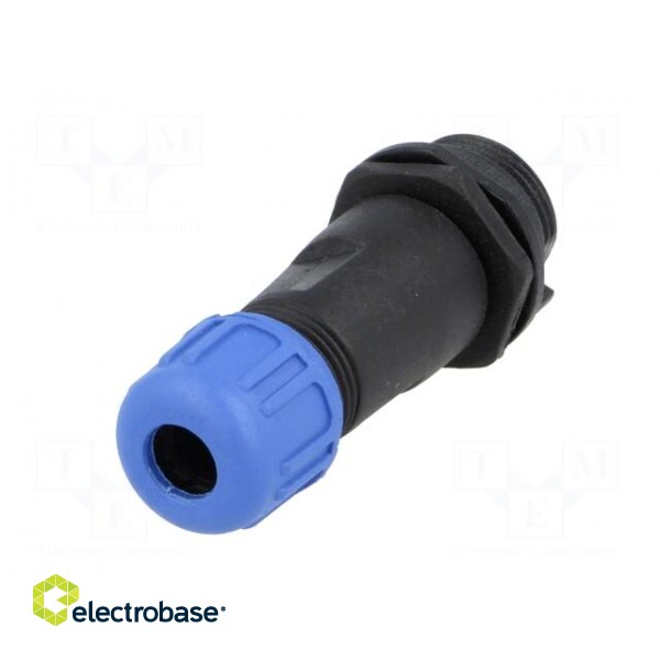 SP13 | plug | male | PIN: 6 | IP68 | 4÷6.5mm | 5A | soldering | for cable image 6