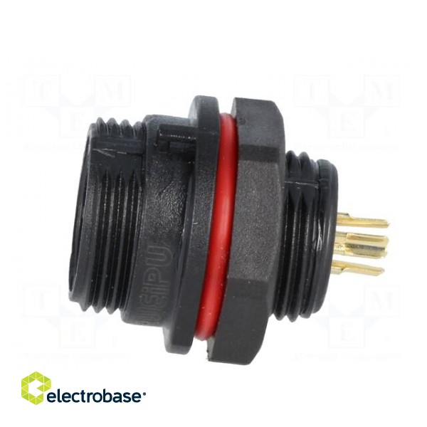 SP13 | socket | female | PIN: 4 | IP68 | 5A | soldering | 200V | 0.75mm2 image 3