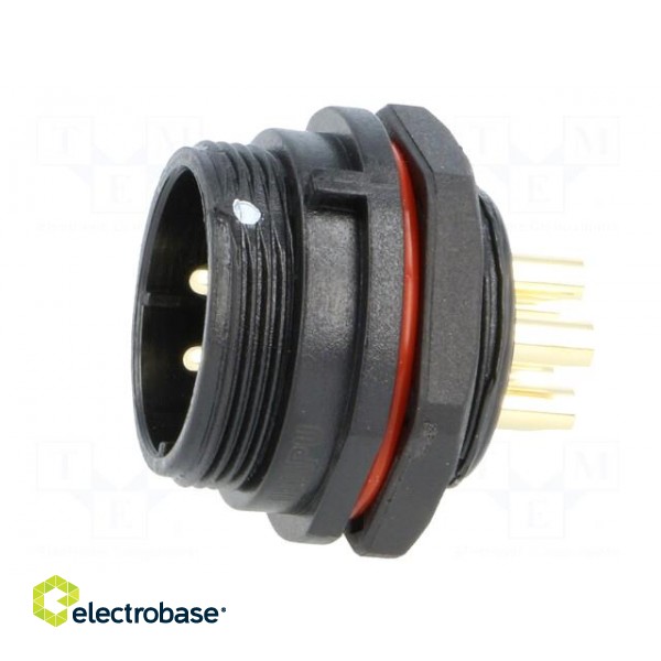 SP21 | socket | male | PIN: 5 | IP68 | soldering | 500V | 4mm2 | 30A | -25÷85°C paveikslėlis 3