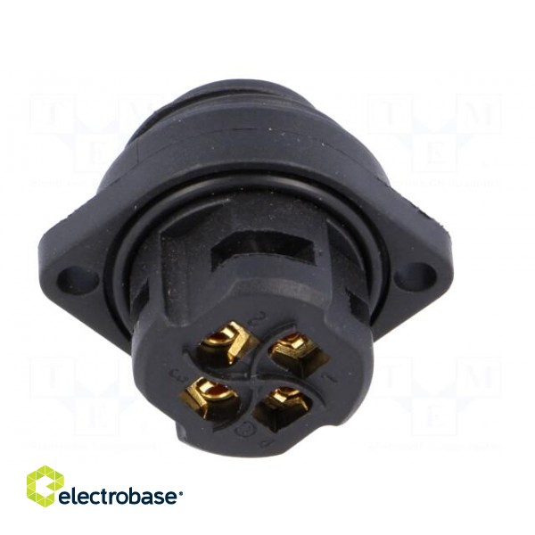 WA22 | socket | male | PIN: 4 | 3+PE | IP67 | 16A | screw terminal | 400V image 5
