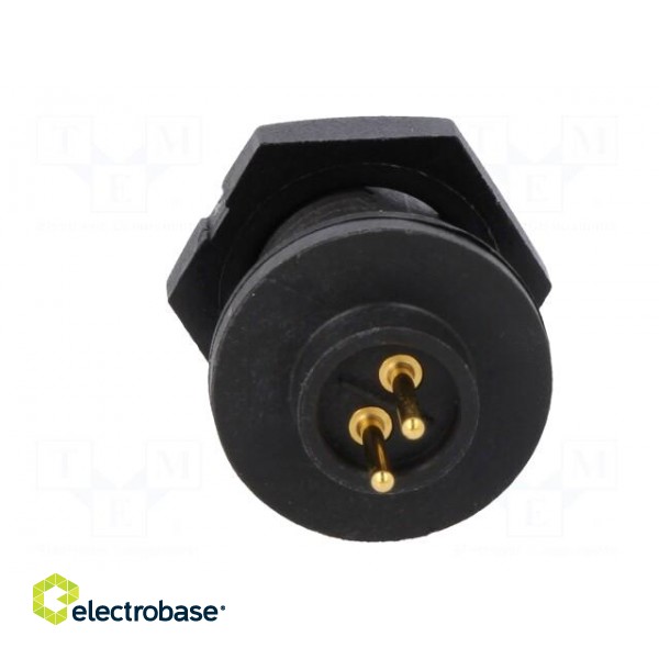 Connector: circular | Series: EN2 | socket | male | THT | PIN: 2 | 7A | IP68 paveikslėlis 5
