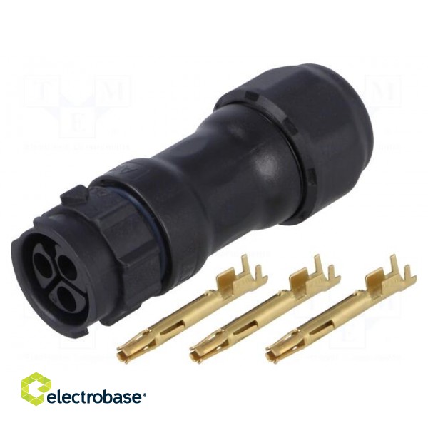 Connector: circular | plug | for cable | PIN: 3 | female | with contacts image 1