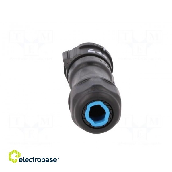 Connector: circular | plug | for cable | PIN: 3 | female | with contacts image 9
