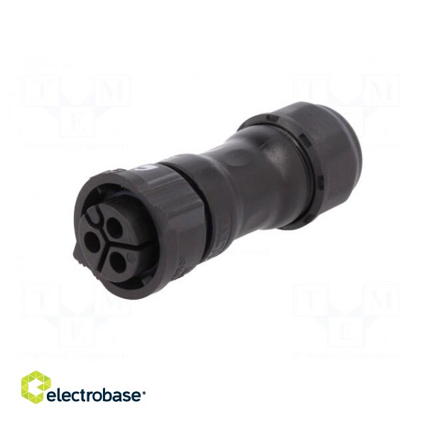 Connector: circular | female | plug | crimped | PIN: 3 | 14AWG÷12AWG image 2