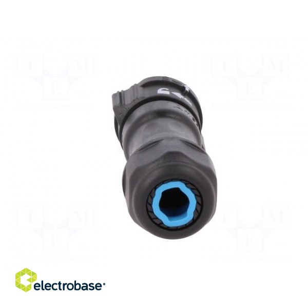 Connector: circular | female | plug | crimped | PIN: 3 | 14AWG÷12AWG image 3