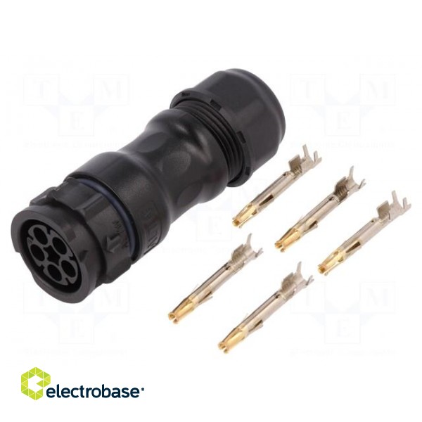 Connector: circular | female | plug | crimped | PIN: 5 | 14AWG÷12AWG image 1