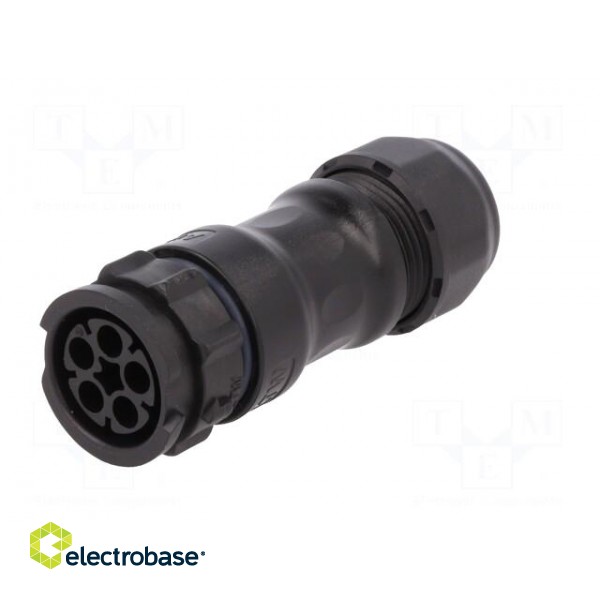 Connector: circular | female | plug | crimped | PIN: 5 | 14AWG÷12AWG image 2