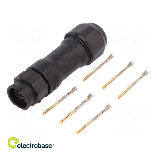 Connector: circular | plug | for cable | PIN: 6 | female | with contacts image 1