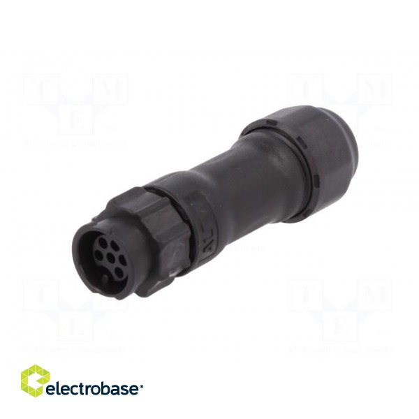 Connector: circular | plug | for cable | PIN: 6 | female | with contacts image 2