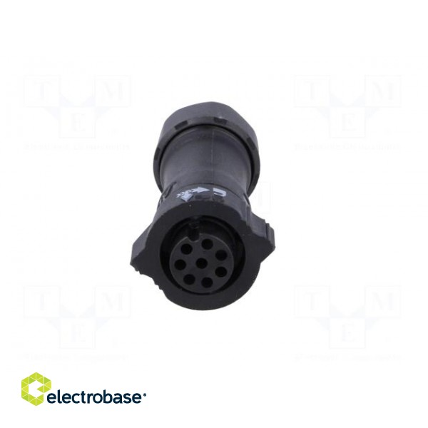 Connector: circular | plug | for cable | PIN: 8 | female | with contacts image 9