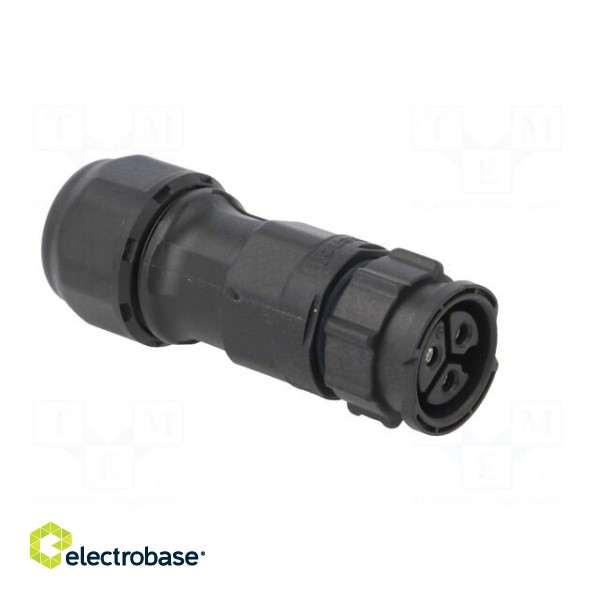 Connector: circular | female | plug | screw terminal | PIN: 3 | IP68 image 8