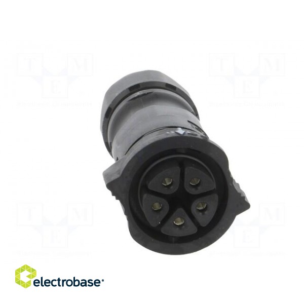 Connector: circular | plug | for cable | PIN: 5 | female | with contacts image 9