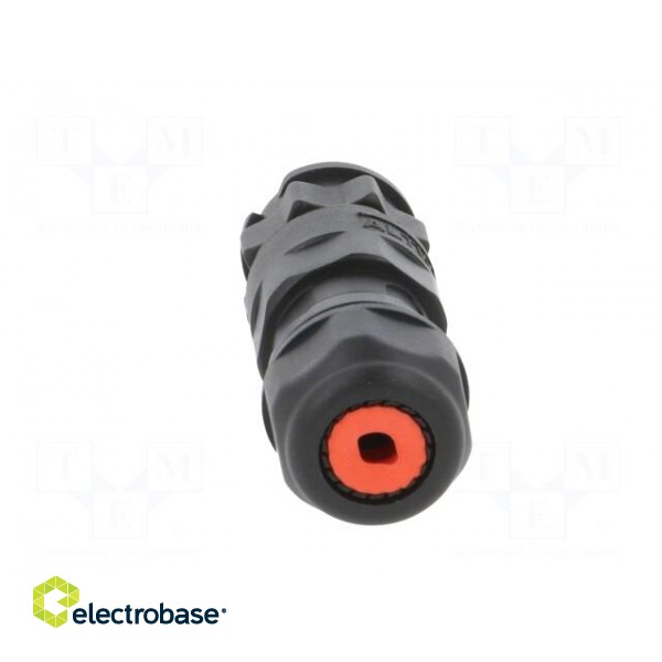 Connector: circular | female | plug | screw terminal | PIN: 5 | IP68 paveikslėlis 5