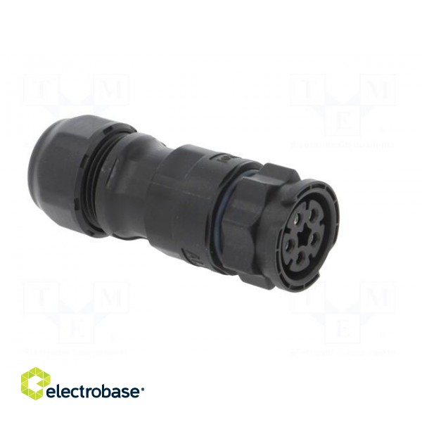 Connector: circular | plug | for cable | PIN: 5 | female | with contacts image 8